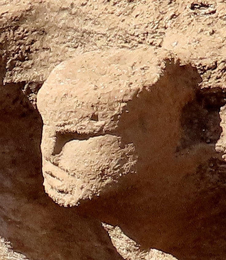 The carved head in Structure AB at Karahan Tepe, set in the wall of the pillars shrine.