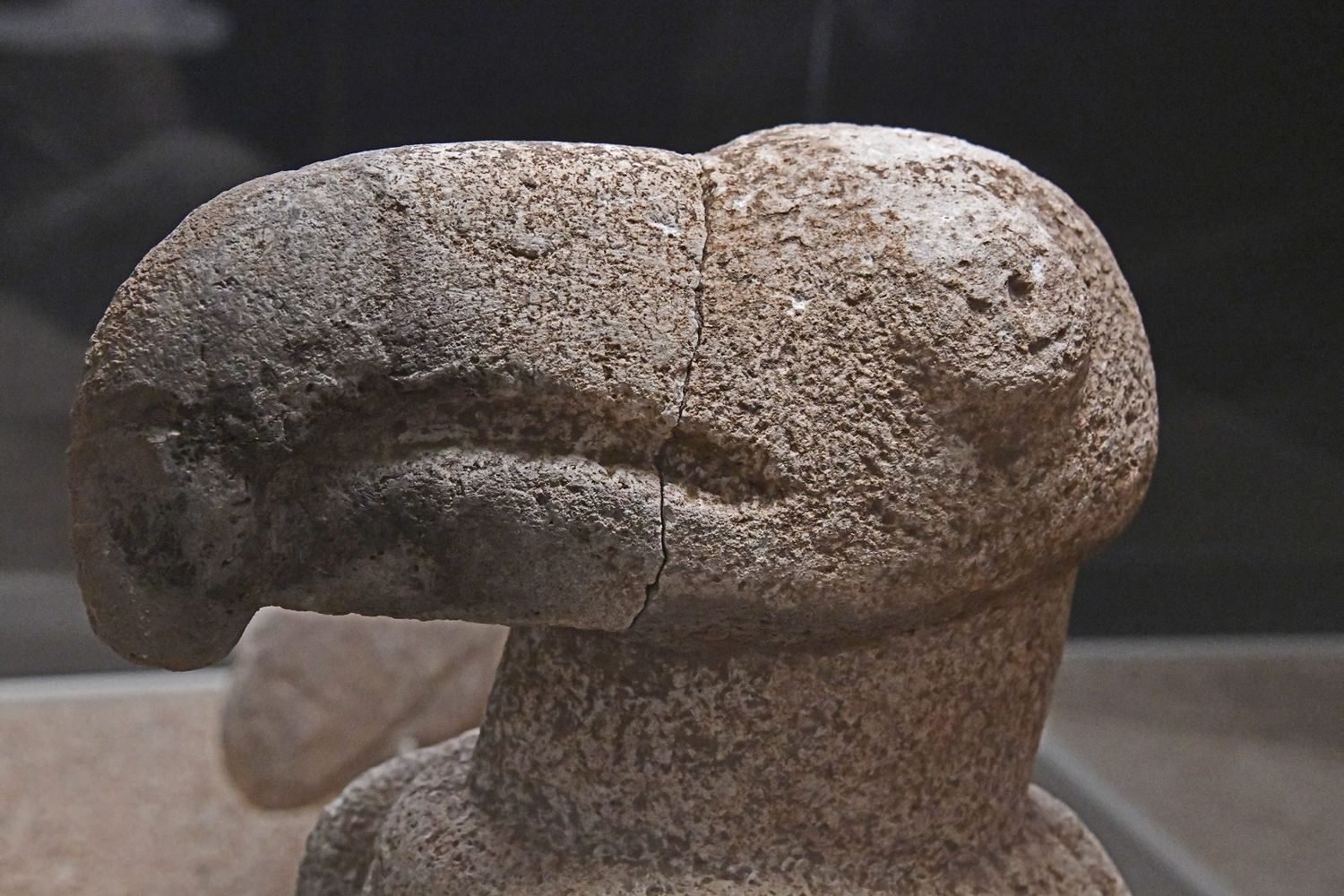 A vulture's head sculpted at Karahan Tepe, now in the Şanlıurfa museum — the bird of death rendered as free-standing sculpture, not just relief.