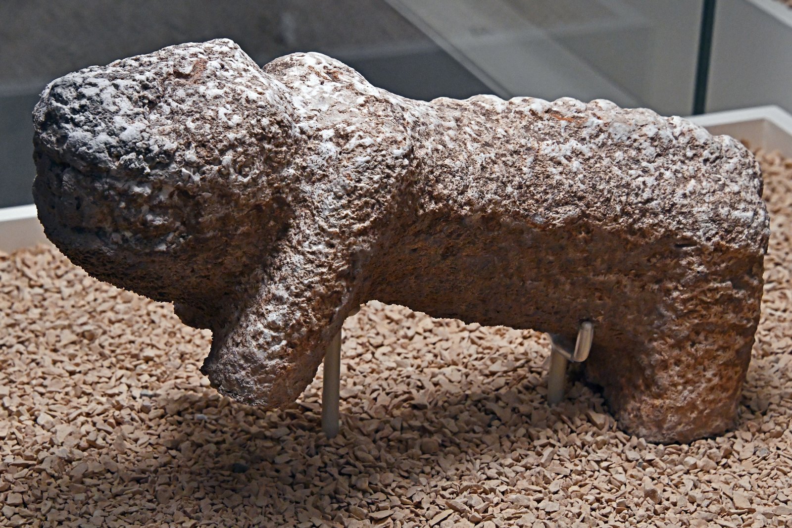 Leopard sculpture from Karahan Tepe, Şanlıurfa Archaeology Museum.