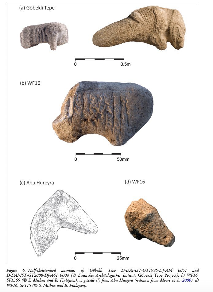 A half-skeletonised animal, its ribs shown as if the body were stripped to bone, carved at Göbekli Tepe (a) and modelled at WF16 (b), with comparanda from Abu Hureyra (c) and a second WF16 example (d) — an unusual, specific idea shared across the network.