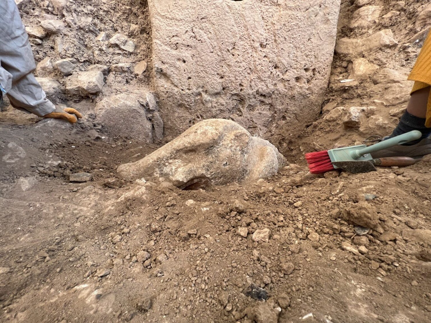 A life-size limestone boar sculpture found in Enclosure D, still carrying traces of paint