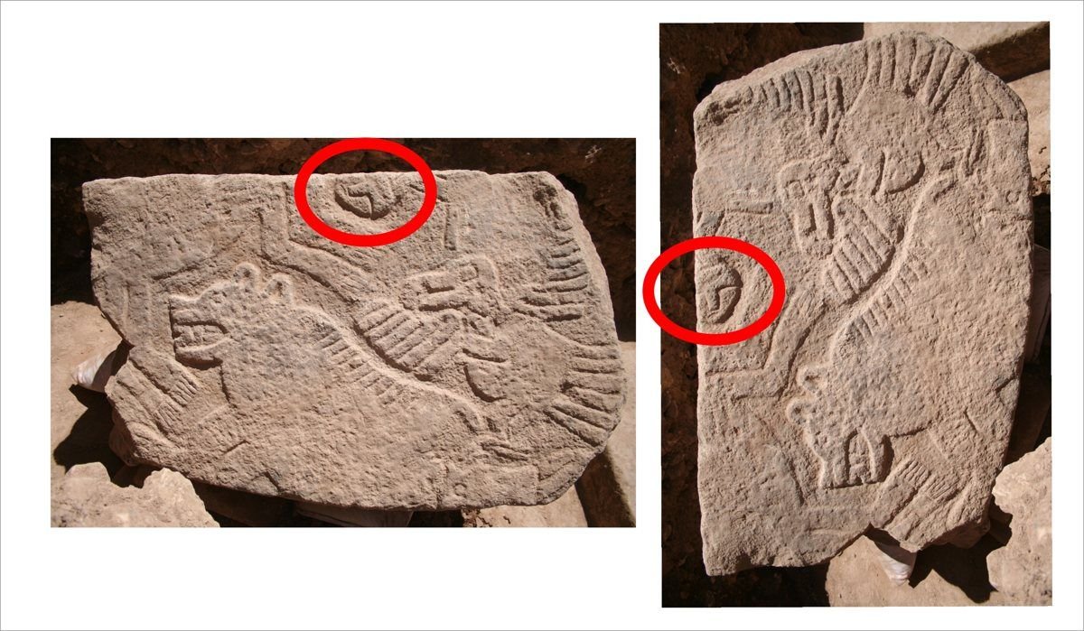 The relief slab found face-down against central Pillar 18: turned over, it shows beasts and, at its edge, a detached human head (circled).