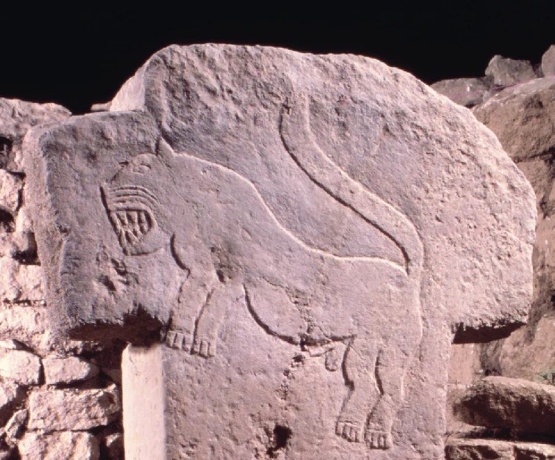 A big cat carved in relief in the Lion Pillars Building.