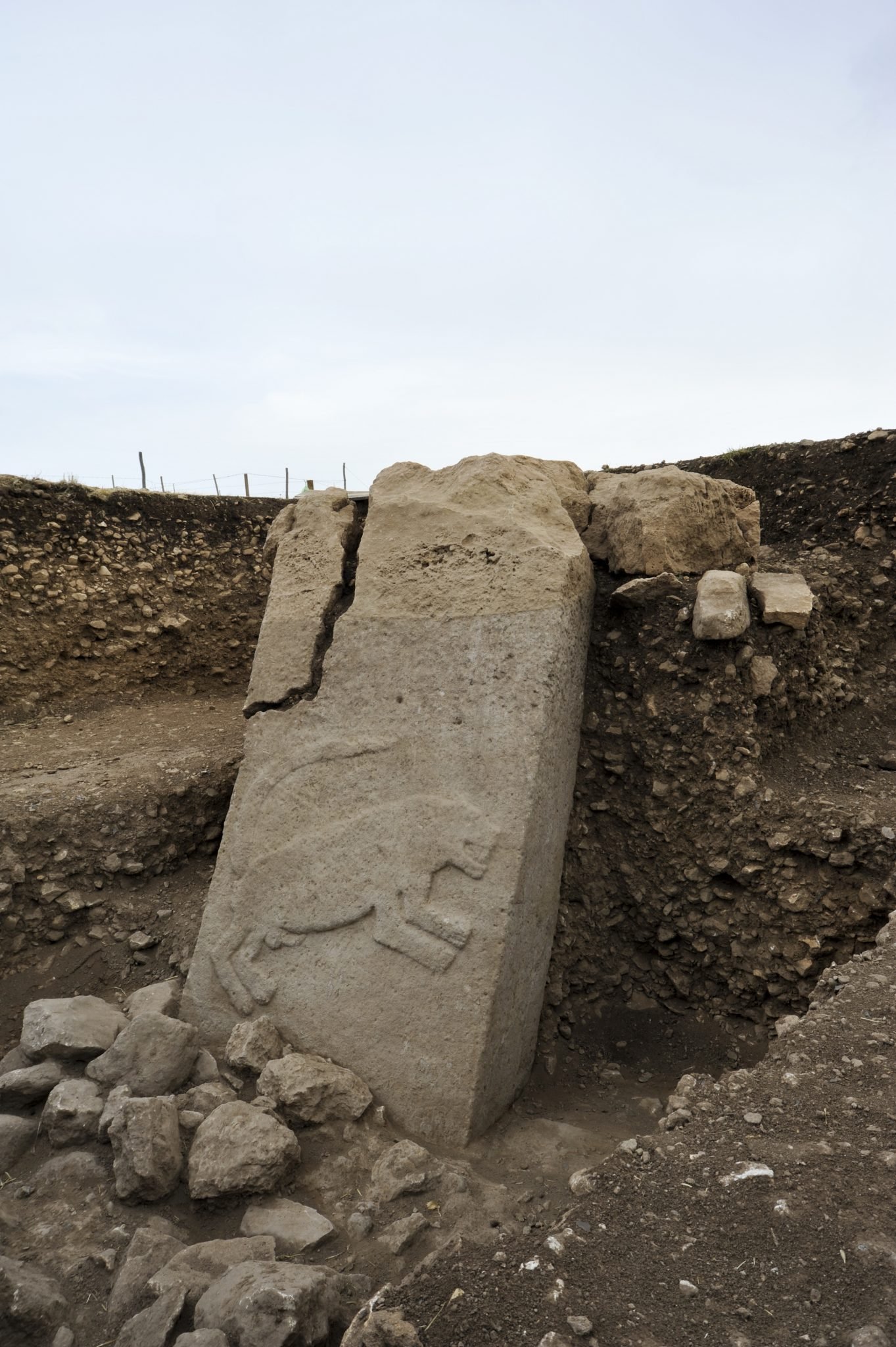 Pillar 51 in Enclosure H at Göbekli Tepe.