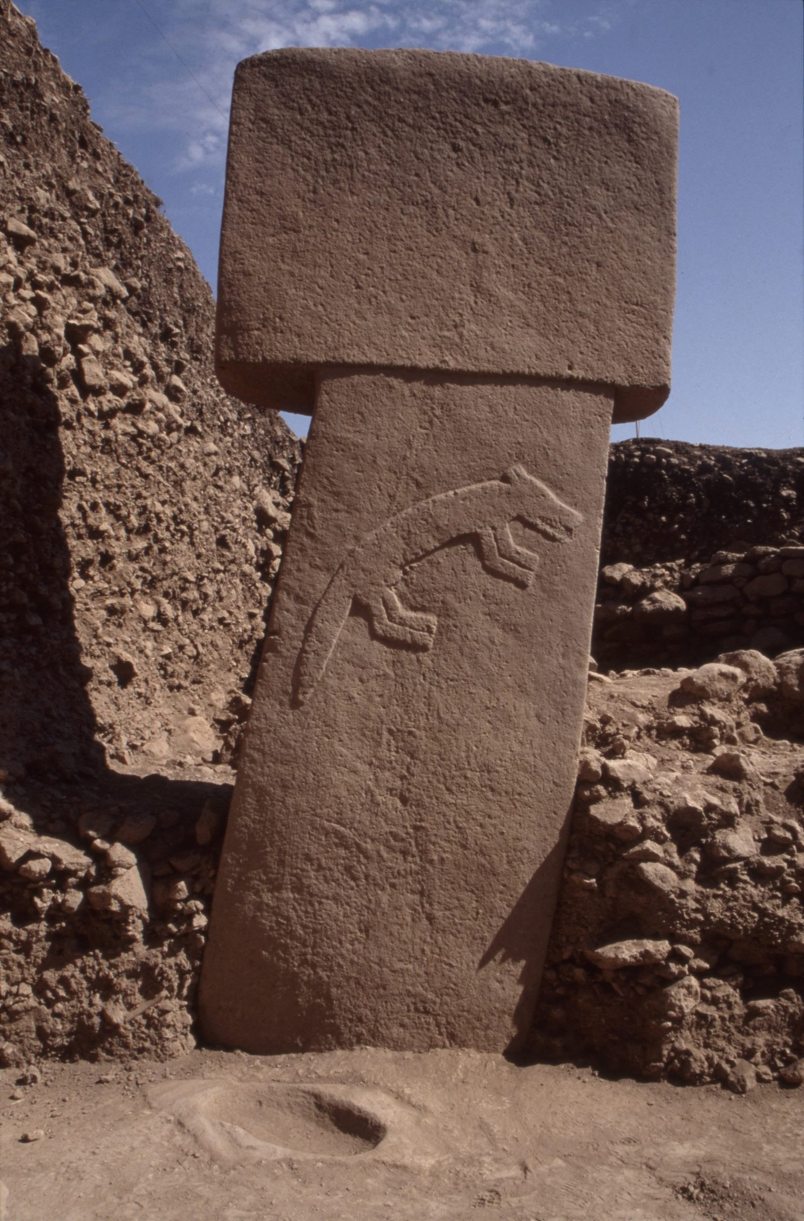 A well-preserved T-pillar of Enclosure B with its full T-head intact, carved with a fox in relief along the shaft
