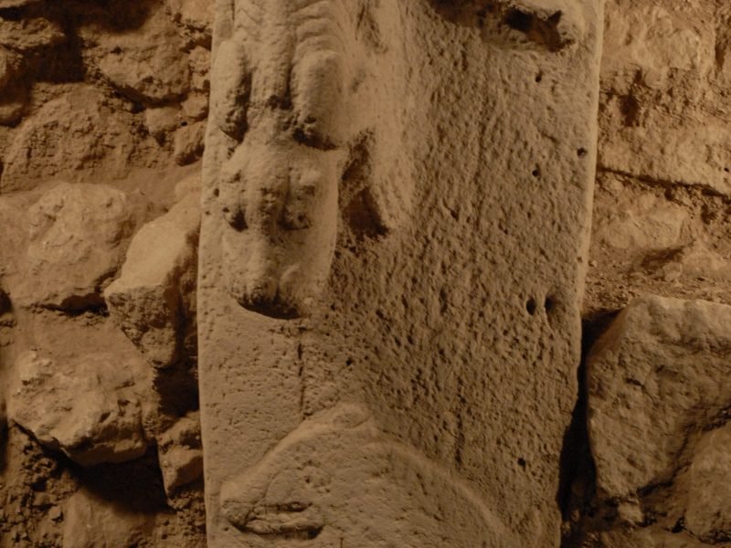 A predator carved in high relief on Pillar 27 at Göbekli Tepe