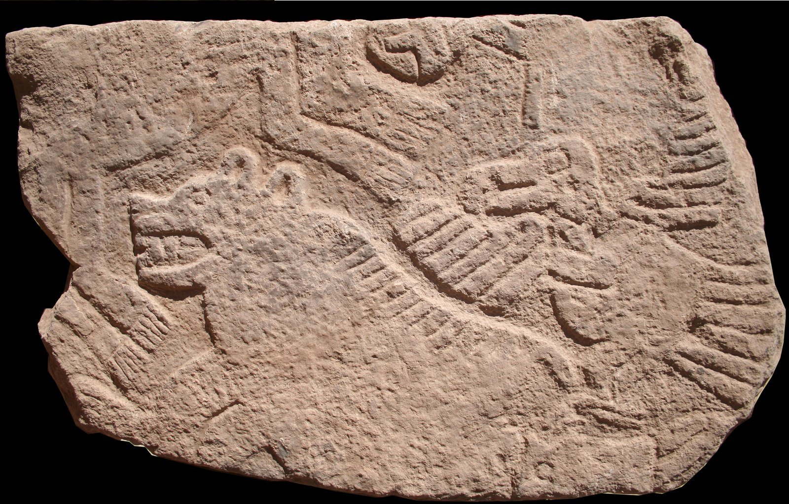 A carved limestone slab lying flat: a large open-jawed predator (hyena or big cat) at left and a headless human figure with a ribbed torso, limbs and phallus at right
