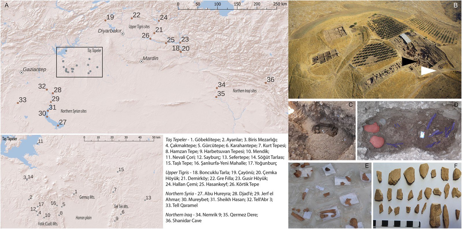 Göbekli Tepe in the Taş Tepeler region (left), the two burial trenches on the excavation area (top right), the collective grave with its gathered skulls (centre right), and part of the scattered bone assemblage the study set out to explain (bottom right).