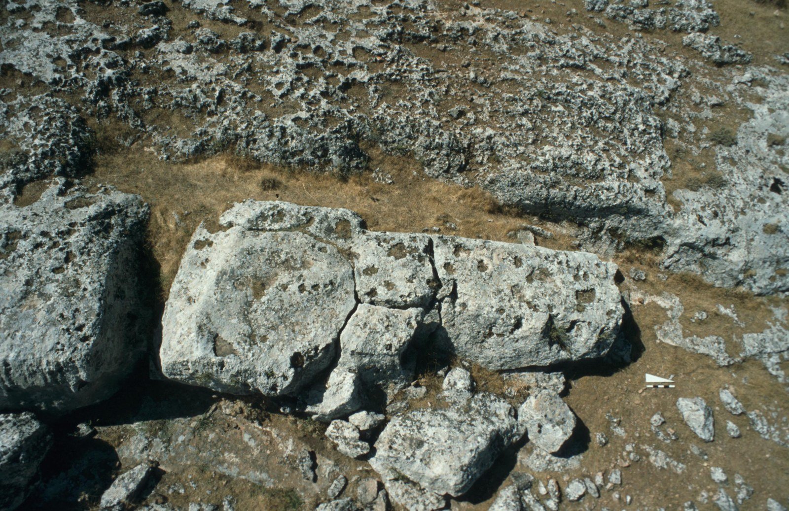 A large unfinished T-shaped pillar still attached to the limestone bedrock in the quarry, its outline and channel cut around it, with a scale bar
