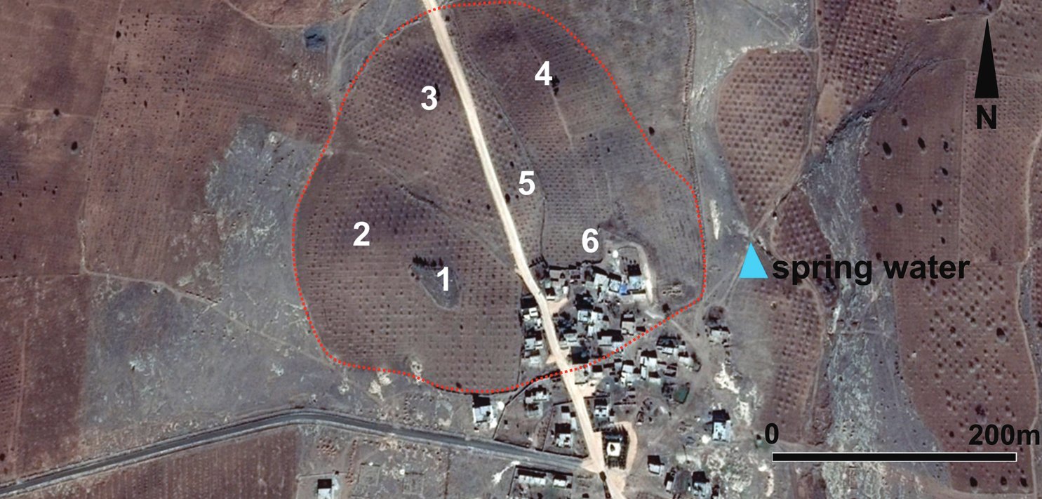 Ayanlar Höyük and its hillocks. (Site view; not a photograph of this find.)