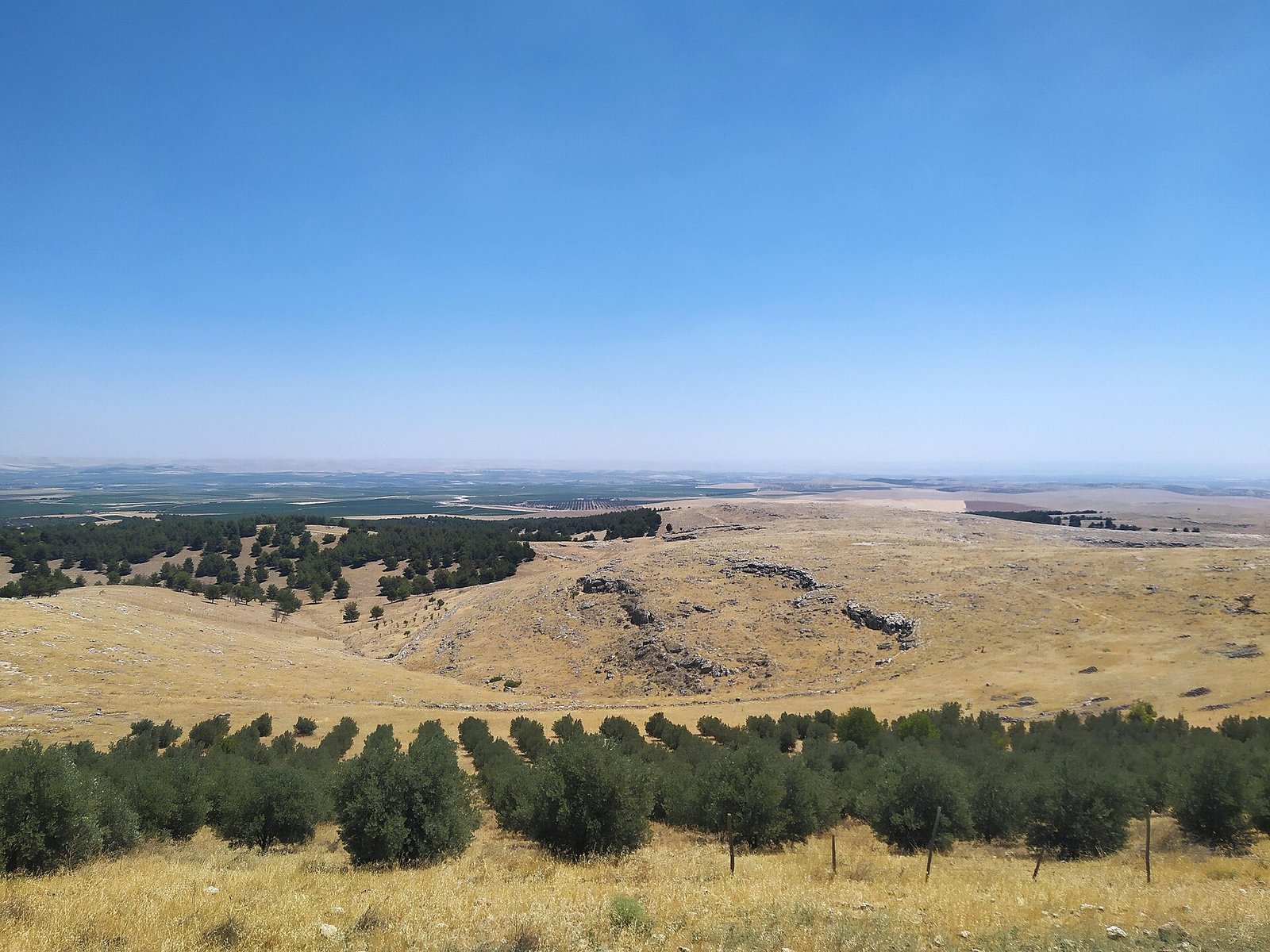 The Taş Tepeler landscape of Şanlıurfa, where Sefertepe lies. (Landscape; not a photograph of this find.)