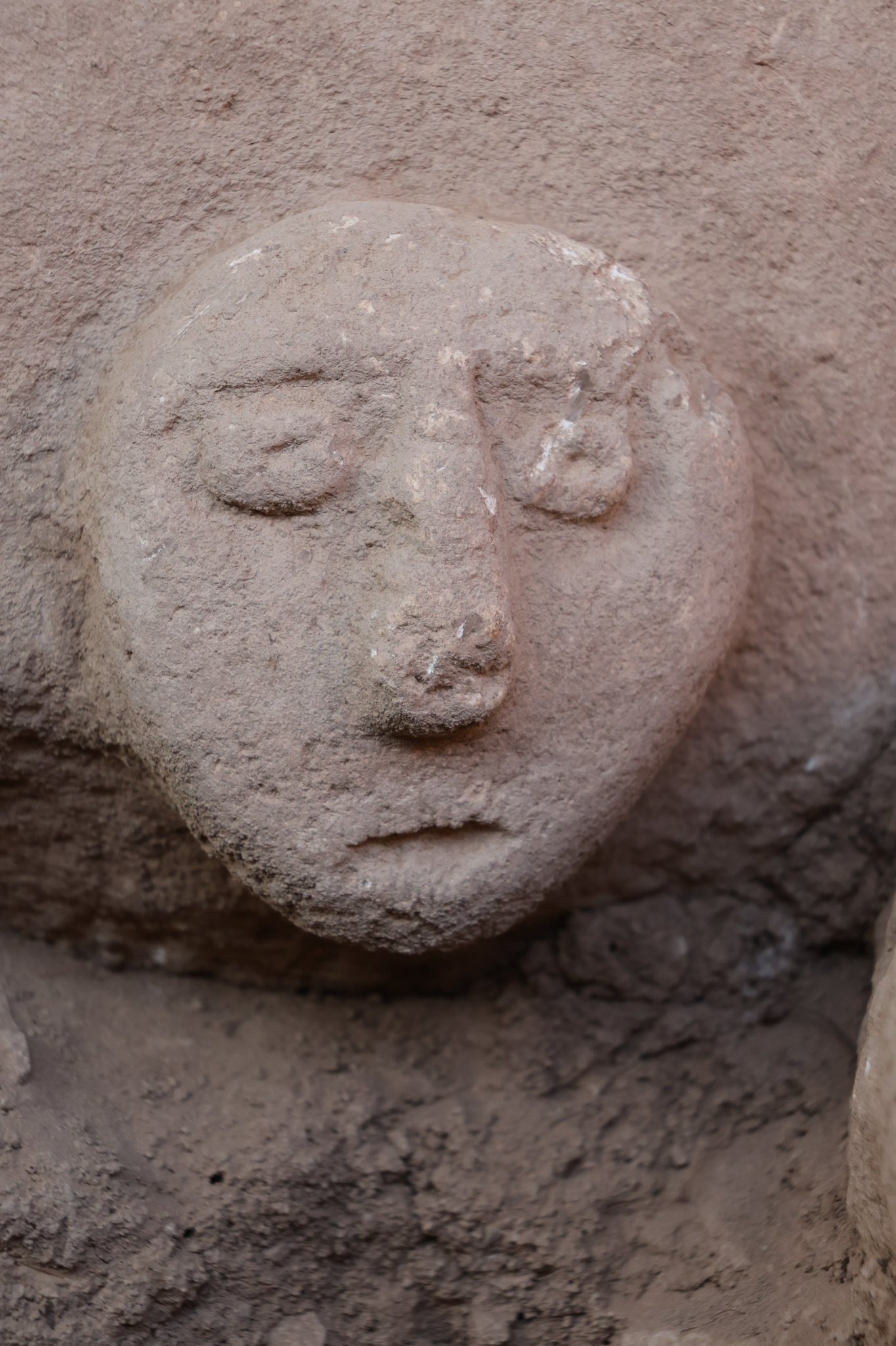A carved human head emerging in the excavation at Sefertepe — the recurring Taş Tepeler impulse to render, keep and display the head, in stone as well as in bone.